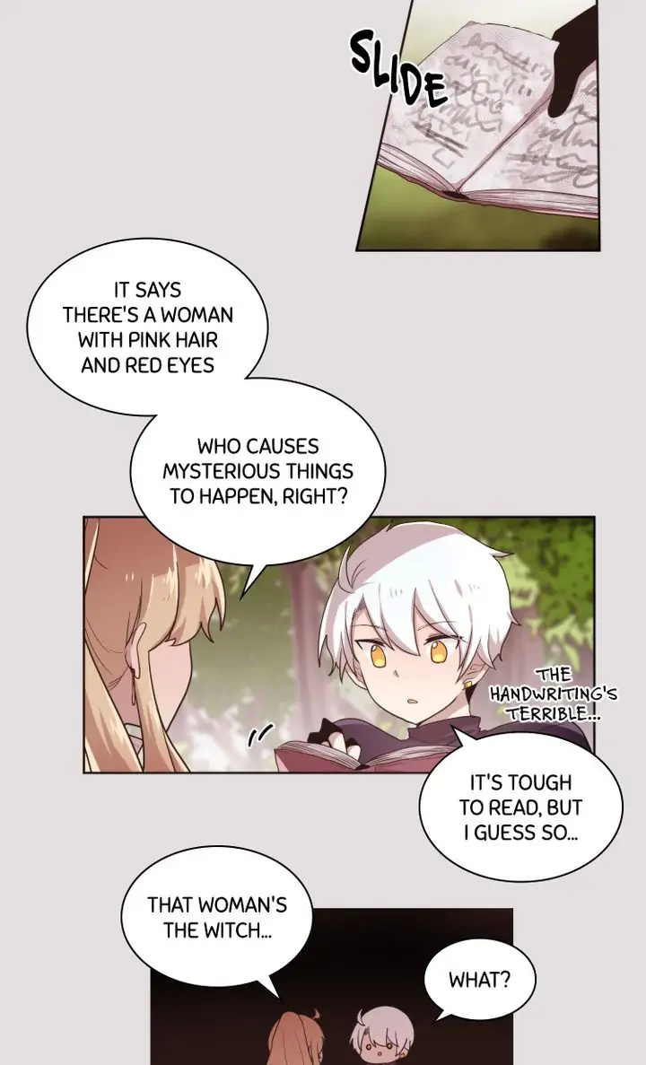 Whatever the Princess Desires! chapter 45 - page 20