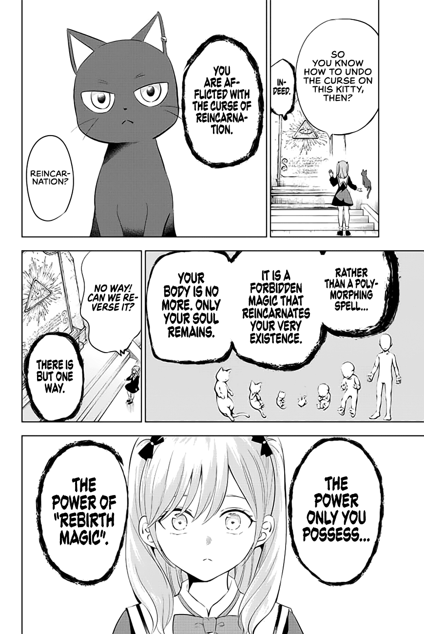 The Classroom of a Black Cat and a Witch chapter 1 - page 43