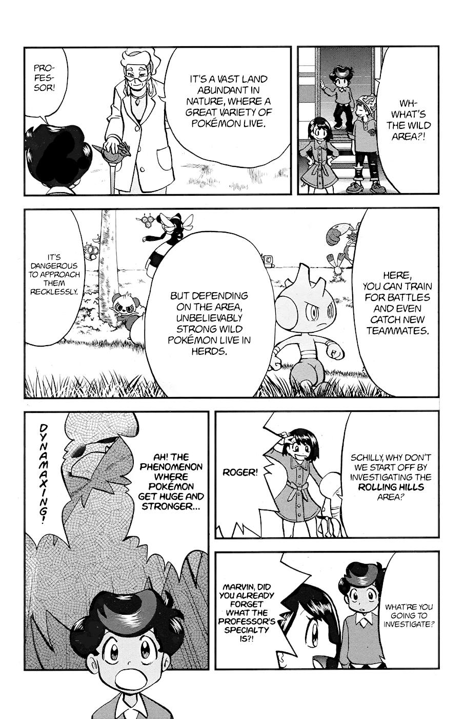 Pokémon SPECIAL Sword and Shield chapter 4 - page 3