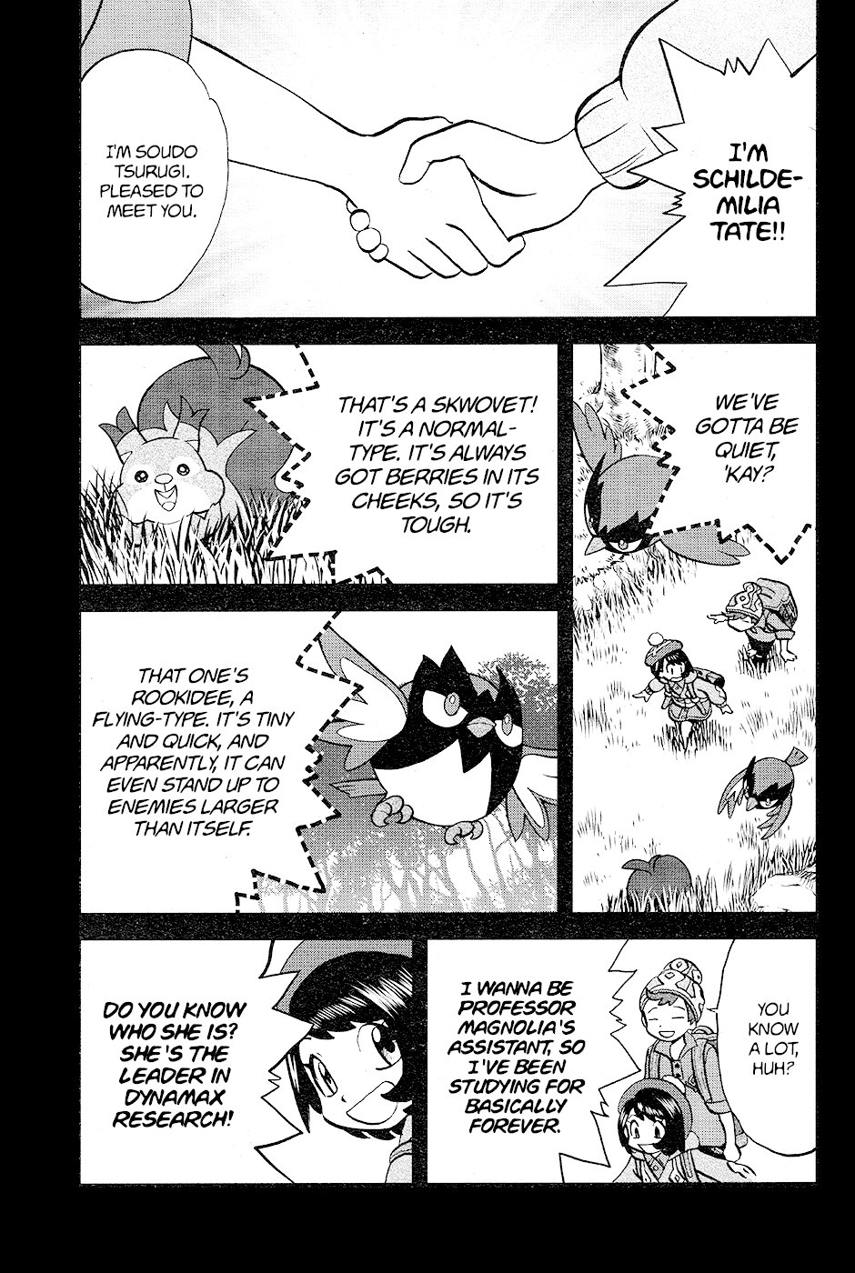 Pokémon SPECIAL Sword and Shield chapter 5 - page 7