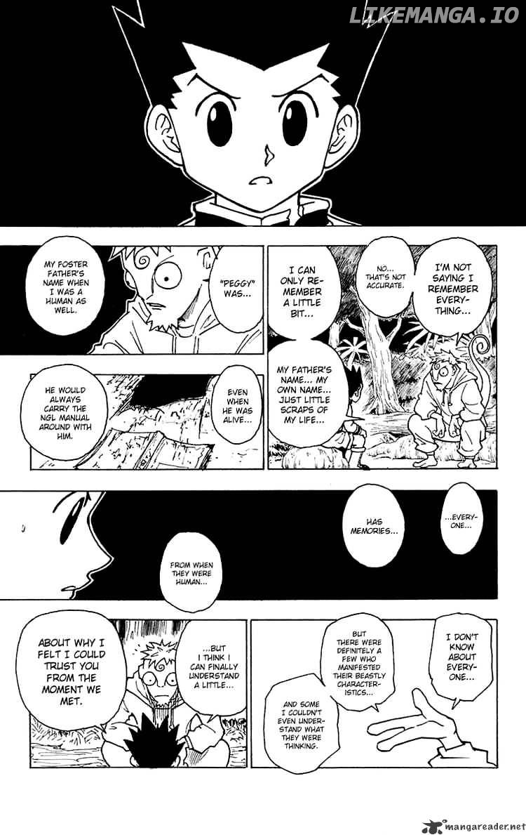 Hunter X Hunter chapter 242 - page 13